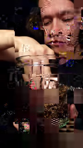 Fully sealed terrarium in a cookie jar #worcester #worcesterterrariums #terrarium | Worcester Terrariums