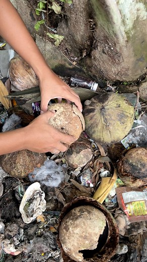 15K views · 40 reactions | there is a rare squirrel sound in here  #fbreelsvideo #reels #trending #viral #explore #india #reel #reelsvideo #whale #reelsvideo #reelschallenge #natural #forest #OMG #Amazing #Wow #animal #animals #fish #haruan #amanrayachannel #tupai | Aman Raya Channel | Facebook