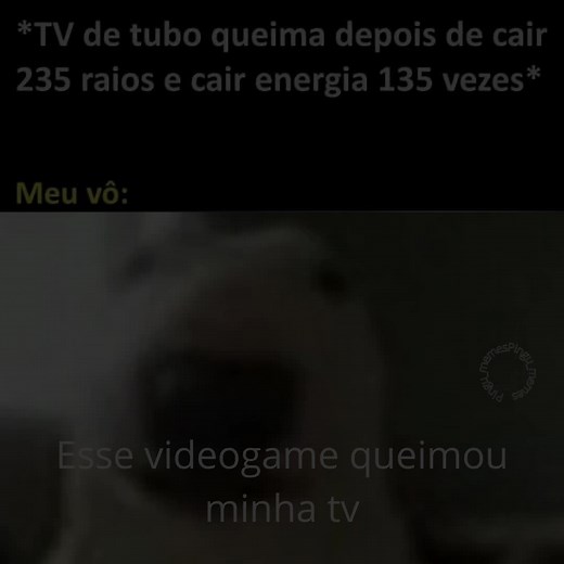 Los mejores memes de Pingu para reír sin parar