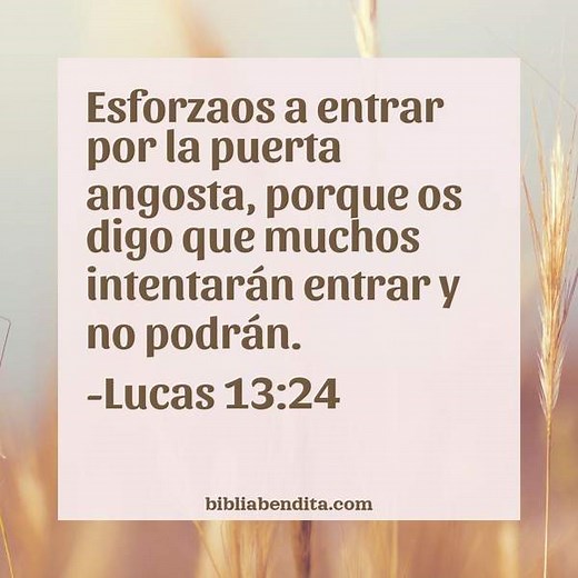 Explicación Lucas 13:24. '-Esforzaos a entrar por la puerta angosta, porque os digo que muchos intentarán entrar y no podrán.' - BibliaBendita
