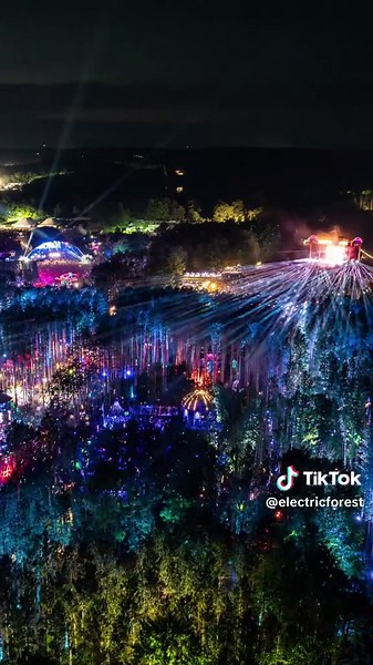 With tints and hues, The Forest is painted anew. 🎨 #EF2024 #electricforest