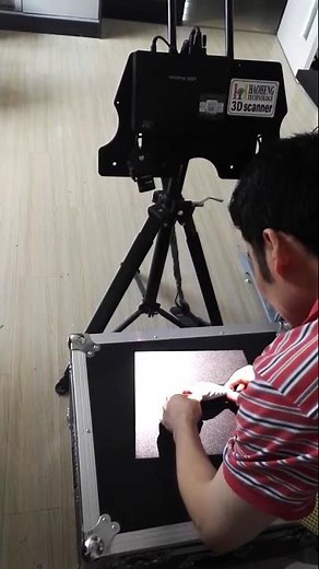 How is the raster scan work by 3D scanner