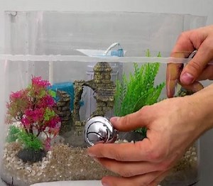14M views · 18K reactions | Turning toilet into a functional art object with water tubes & aquarium! | 5-Minute Recycle | Facebook