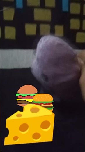 Cheeseburger rap 🍔🧀😎