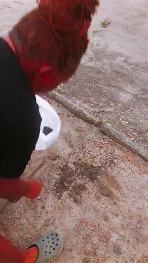 Natural Remedies for Menstrual Relief