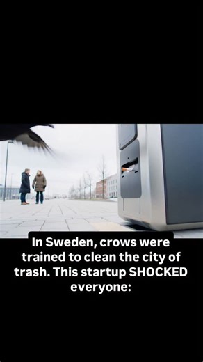 Tanita Astra on Instagram: "① According to reports from Swedish media and data from the startup Corvid Cleaning, an unusual environmental experiment was launched in Sweden. Engineers created a device that works like a vending machine: a crow drops a cigarette butt into it and receives a small portion of food in return. The idea is based on the fact that crows are among the most intelligent birds in the world and are capable of learning complex patterns very quickly. ② Cigarette butts are one of