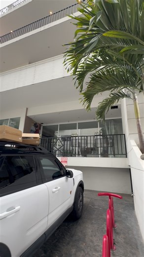 25 reactions | INAUGURACIÓN DE MOMO  | Velma Box | Facebook