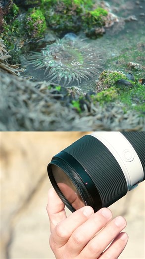 Control glare and reflections with a circular polarizer