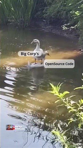 Free Code Big Profits#coding #programming #javascript #python