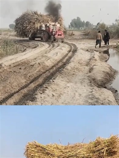 Understanding Weight Capacity of Tractors