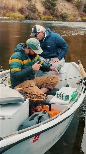 New Turtlebox Speaker - Ranger