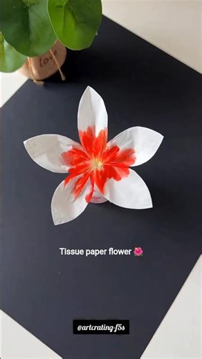 😲 wow beautiful tissue paper flowers 🌺 don't waste tissue paper which you have. #flowery #flowers