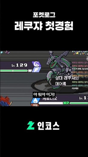 포켓로그 레쿠쟈 첫경험