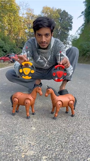 2 gu Remote Wla Arabian Horse 🐎 Deko