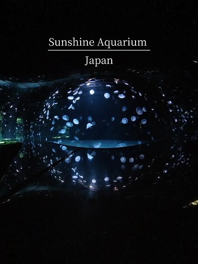 サンシャイン水族館でのエモい体験