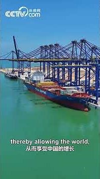 Liu Yuanchun: The Hainan Free Trade Port Marks a Major Strategic Move for China's Deeper Integration