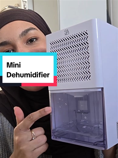 Mini Dehumidifier: Fight Mold and Condensation Effectively