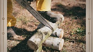 Stihl 291 vs 311: Comparison of Top Chainsaws