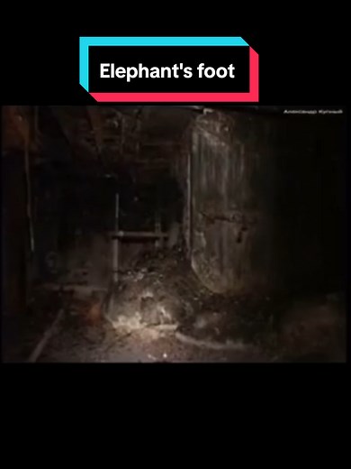 The Deadliest Object on Earth: The Elephant’s Foot (2007 Footage) ☢️👇 Deep inside the ruins of Chernobyl’s Reactor No. 4 lies a solid mass of black corium known as the