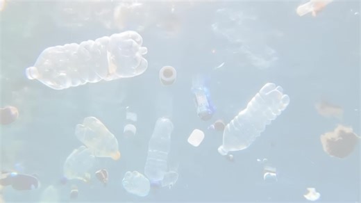 Plastic pollution is one of the most pressing environmental...