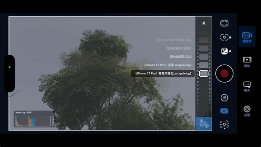 导入LUT一键套用，新手也能零失误#lut#新手小白#手机摄影#苹果