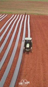 7.1K views · 120 reactions | We’ve laid a little over 8 acres of...