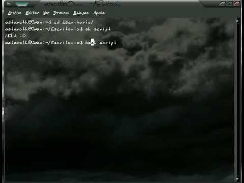 Cómo ejecutar un script en Linux?