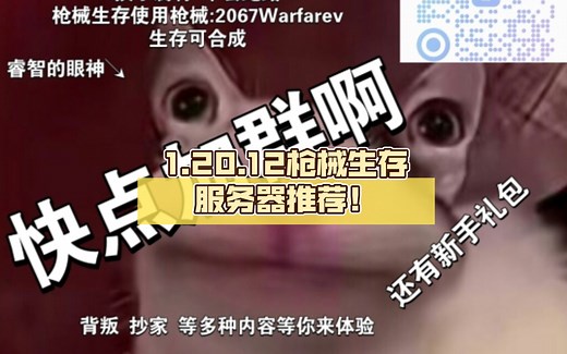 【我的世界国际版】1.20.12枪械生存服务器推荐！