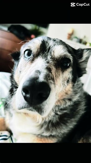 Our Biggest Move Yet 🚀✨ #shorts