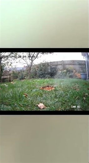 When the Turtle hits Mach 10