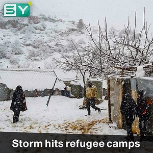 23K views · 50 reactions | 50,000 Syrians in need of emergency assistance after devastating snow storm sweeps through refugee camps in #Lebanon #WithRefugees #Norma #Syria | سوريا بلس SY+ | Facebook