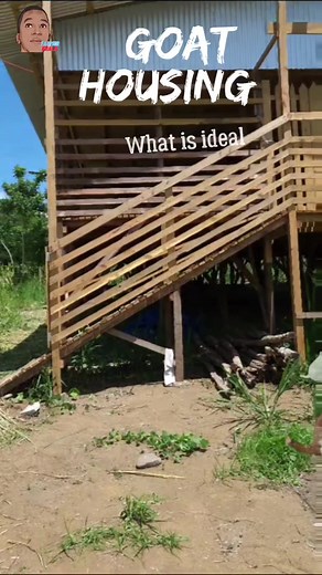 The Ideal Goat House Planning #agriculture #nutrition #goat #housing