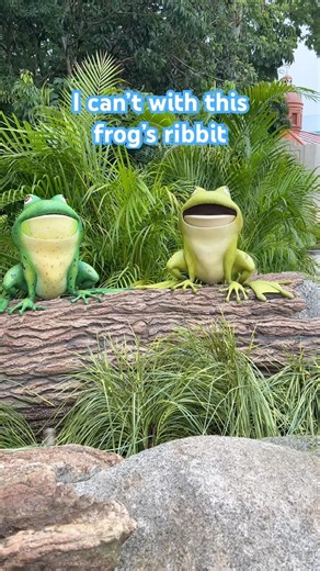 Hilarious Frog Ribbit #hilarious #frog #frogs #froggy #ribbit