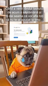 Cel mai urât sentiment... 😭 #targuldecariere #job #work #google #drive | Târgul de Cariere