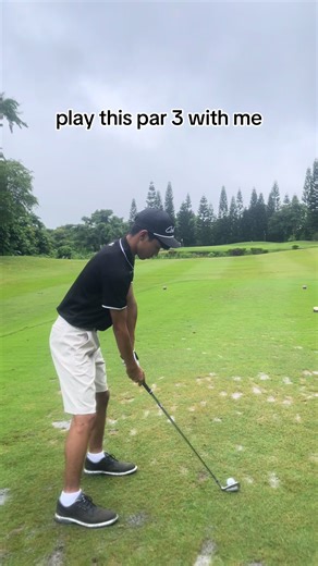 Mastering Par 3 Golf Shots Techniques