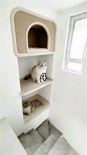 Guys help me out who this pt.17