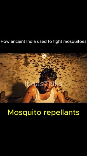 The POWER of Neem Against Mosquitoes
