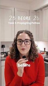 Task 2:✅pothos propagation