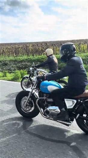 Triumph State of Mind