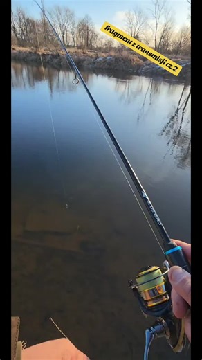 jig rig i polaris 42 od @Prospin baits @Method Masters #lurefishing #jigrig #prospin #okoń #spinning