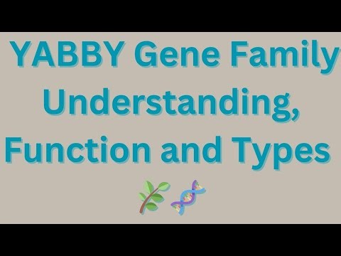 📊 Understanding Statistical Methods in Gene Expression Analysis! NCBI GEO