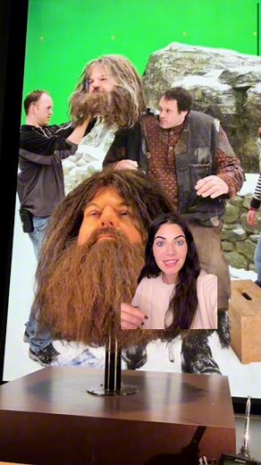 15K views · 306 reactions | The head used for Hagrid in the Harry Potter movies  #harrypotter #movies #viral | Marianne Nafsu | Facebook