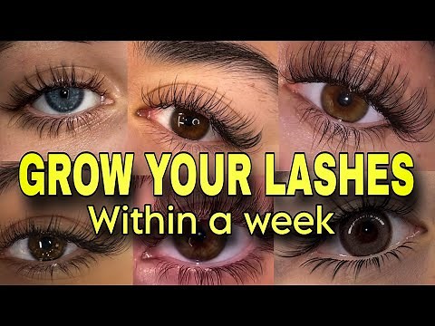 How to ACTUALLY Grow Your Lashes (Proven Methods)