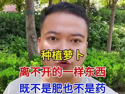 种植萝卜，离不开的一样东西，既不是肥，也不是药。#种植萝卜的季节到了 #萝卜种植 #分享农业知识帮农民增产增收 #每天分享蔬菜种植技巧 #怎么种植胡萝卜