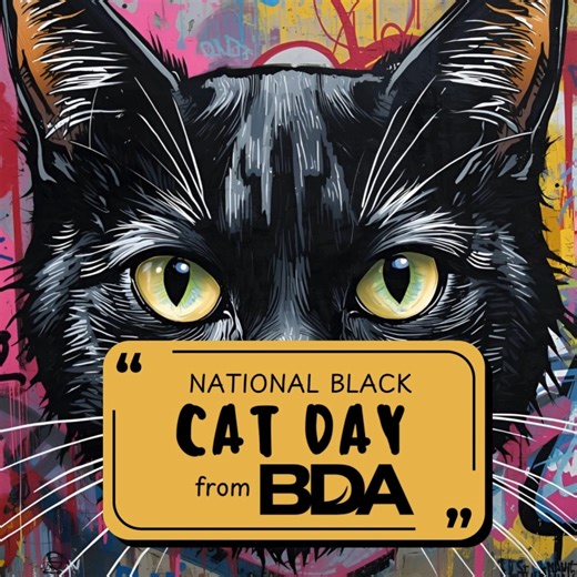 Today is National Black Cat Day and we wanted to share with you Notch! She’s a former street cat turned full indoor-cuddle-bug. This void cat is full of love and is a treasured member of our Paw-ffice Administrator’s family. #NationalBlackCatDay #VoidCat #Kitty #BDAPets #BuildingDesignForAnimals | BDA Architecture: Building Design for Animals