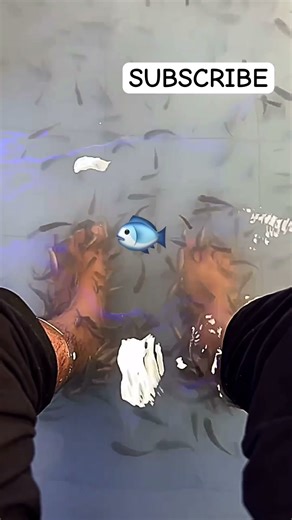 I Tried Fish Massage For A First Time 🐟✨ | Goa Vibes #shorts #viral #goa #vibes #travel #beach