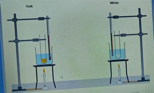Recording 2025-12-28 231317.mp4