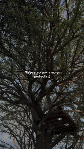 ¿Soy la mujer perfecta? — Reflexión sobre amor y deseo
