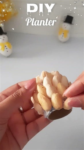 DIY Pista Shell Planter #shorts #viralshorts #planter #diy #handmade #trending #craftideas #viral