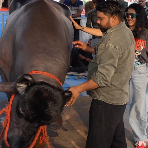 PUPUL BHUYAN on Instagram: "Not a paid collab. Just pure curiosity, culture & connection. Today I explored Matsya Prani Samavesh, where Odisha’s fisheries, livestock, dairy & pet world came alive — from knowledge-packed stalls to hands-on experiences. And yes… the first frame you see is Inder — India’s most famous buffalo 🐃 18 tonnes • 5 years old • worth ₹5 crore — the pride of Indian animal genetics and the biggest show-stopper of this expo. From pet animals to fishery products, from farmers 